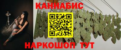 шишки Лесосибирск